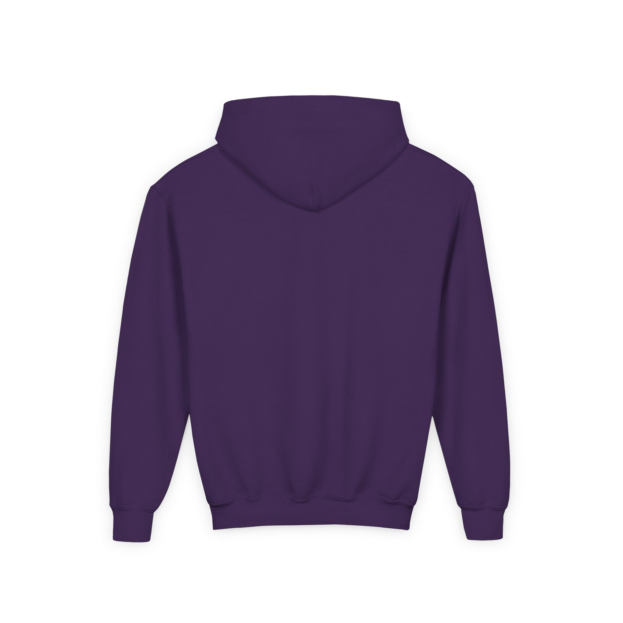 Mini Human Sunshine Youth Hoodie